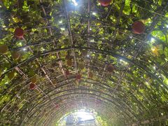 -Ohkajhu Organic Farm Sansai