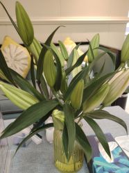 -静博士·养生养颜