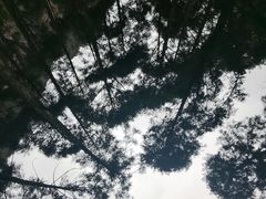 -雁荡山大龙湫景区