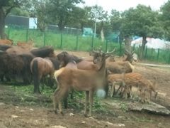 -西安秦岭野生动物园