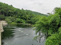 -九龙潭景区
