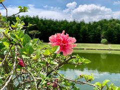 -迪茵湖田家舍生态农场