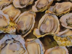 -原志优秀食材·匠心料理·海胆主题(金亿广场店)