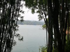 -广州市流溪河国家森林公园