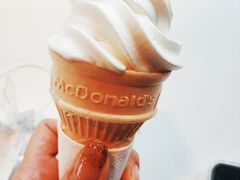 -麦当劳(金平路站店)