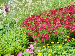 -人民公园(罗湖区)