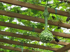 -中国天府农业博览园