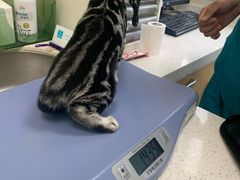 -美联众合动物医院·24h京西诊疗中心