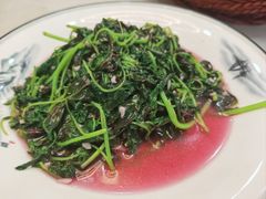 -紫藤园·天目湖大鱼头(南山竹海店)