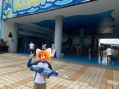 -黄金海岸水上乐园