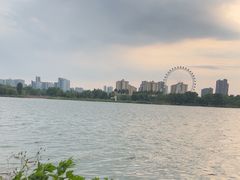 -鹤之洲湿地公园