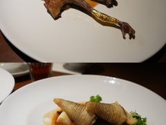-觀芷隐轩