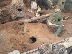 -昆明动物园
