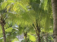 -亚马逊丛林水乐园