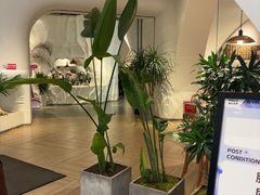 -麓椿花园西餐厅(海乐世界店)