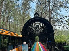 -合肥滨湖国家森林公园