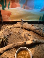 -酷嗒动物文化乐园(cutezoo西溪乐天城店)