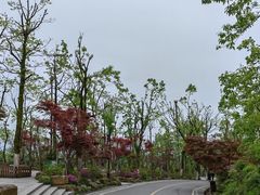 -岳麓山风景名胜区