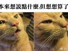 -纯阳馆鱼香排骨面(东二道街店)