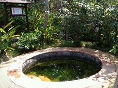 -三亚海棠湾南田温泉神龙谷