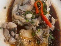 -先鲜鲫鱼粥
