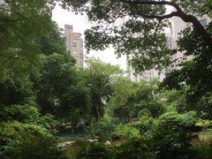 -新湖明珠城