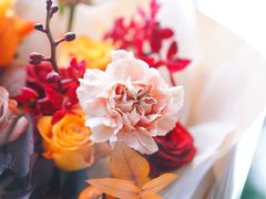 -花生FM_FLOWERS