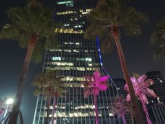 -星璞全日餐厅·高空自助餐(深铁铂尔曼酒店)