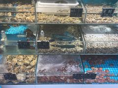 -北戴河庆山饭店·海鲜砂锅粥(北戴河黑石路店)
