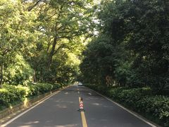 -南京东郊国宾馆