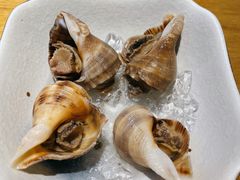 煮角螺-樱町三味日本料理(城乡世纪广场店)