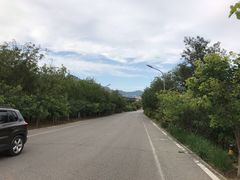 -北京鹫峰国家森林公园