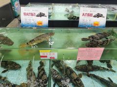 水产区-渔民新村(番禺总店)