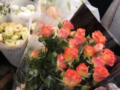 -秦美花卉(天朗·莱茵小城2期店)