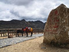 -兔儿山