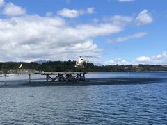 -怀托摩萤火虫洞