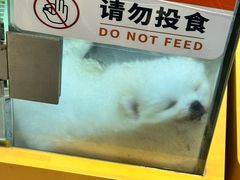-狗道宠物(常熟印象城店)