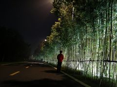 -艾溪湖湿地公园