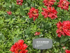 -香山公园
