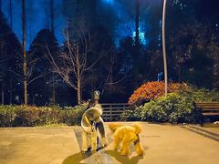 -谐和益家动物医院·免疫绝育·血液透析·宠保定点医院(高新伊藤分院)