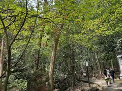 -大慈岩风景区
