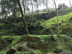 -龙岩森林水乡景区
