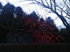 -雕刻之森美术馆