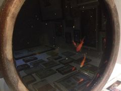 古式老鱼缸-郑厨私房菜