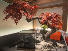 -阿吾罗·月咏精致日料(港汇恒隆广场店)
