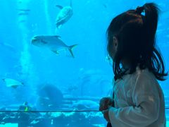 -太平洋海底世界