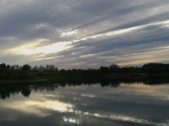 -东郊湿地公园