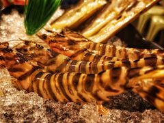 花竹虾-鲜入围煮花胶鸡海鲜火锅