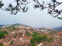 -崂山巨峰游览区