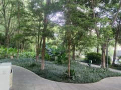 -成都市活水公园